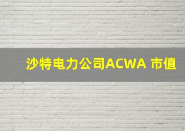 沙特电力公司ACWA 市值